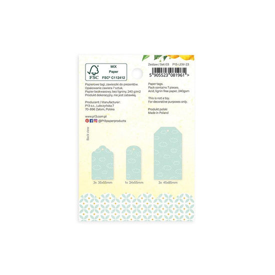Fresh Lemonade Double-Sided Cardstock Tags 7/Pkg