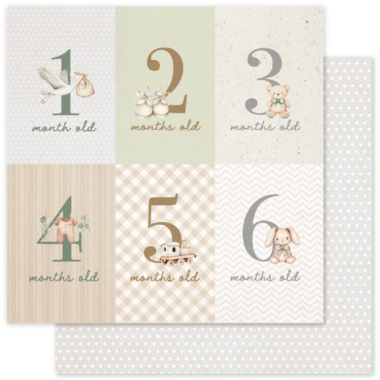 Paper Rose Boho Baby Basics 6x6 Paper Collection
