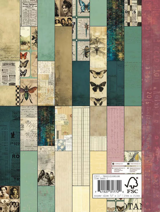 Elizabeth Craft Reminiscence the Book 9