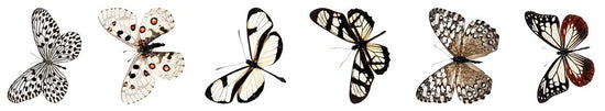 Studio Light Clear Stickers Butterfly Grunge Collection 65x45x45mm 5 Meter