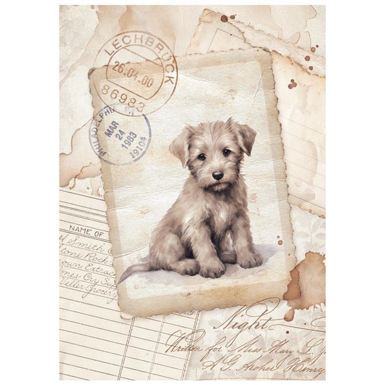 Stamperia Rice Paper A6 8/Pkg Quiet Days