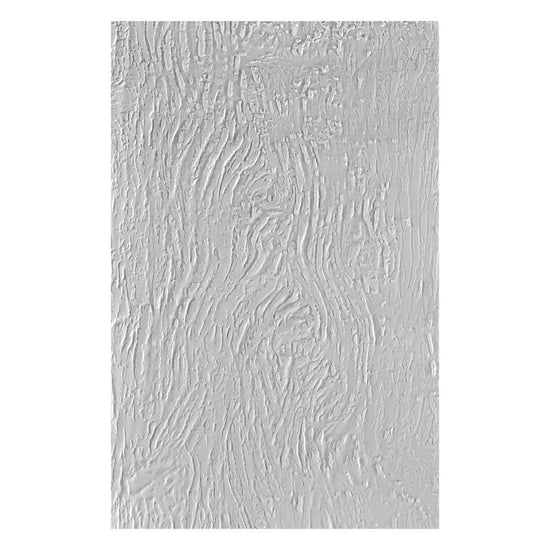 Spellbinders BARK 3D EMBOSSING FOLDER FROM THE TIMELESS TREES COLLECTION BY SIMON HURLEY