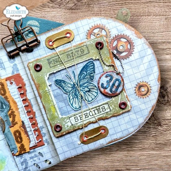Elizabeth Crafts Where Wings Wander Stamp and Die