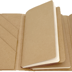 Graphic 45 Travel Album with Inserts – Waterfall Folder & Journaling Notebooks — Kraft