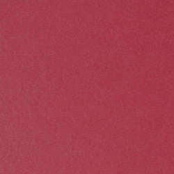 Envelopments Metallic Cardstock 12” x 12”