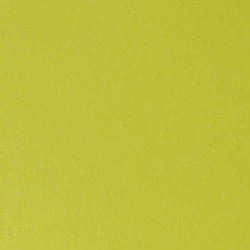 Envelopments Metallic Cardstock 12” x 12”