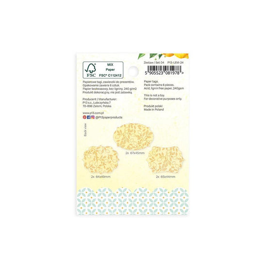 Fresh Lemonade Double-Sided Cardstock Tags 6/Pkg 