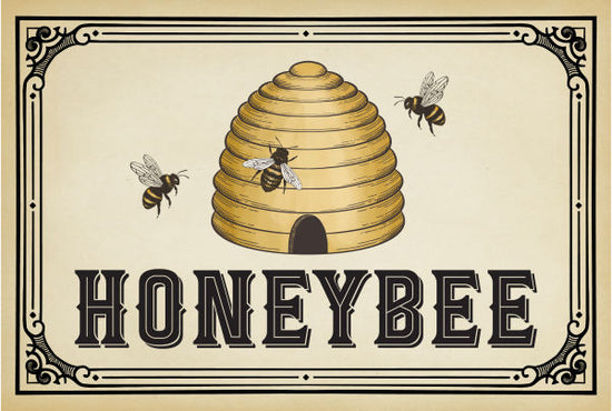 Carta Bella Honey Bee Bundle (11 productos)