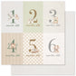 Paper Rose Boho Baby Basics 6x6 Paper Collection