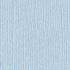 Bazzill Bling Cardstock 12"X12" Blind Date