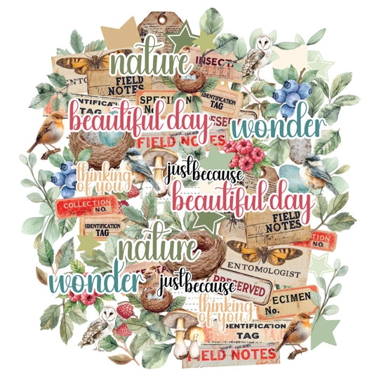Uniquely Creative BOTANICAL CHRONICLES CREATIVE CUTS