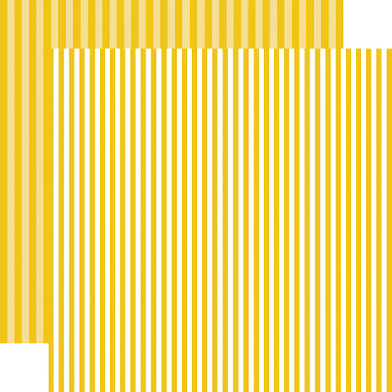 Echo Park Starfish Stripe Paper