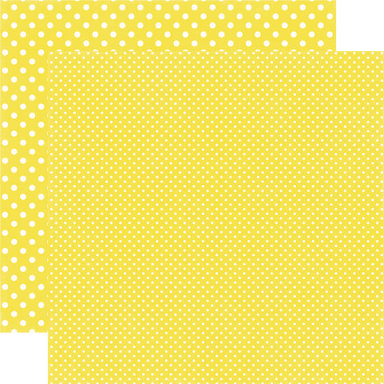 Echo Park Lemonade Dots paper