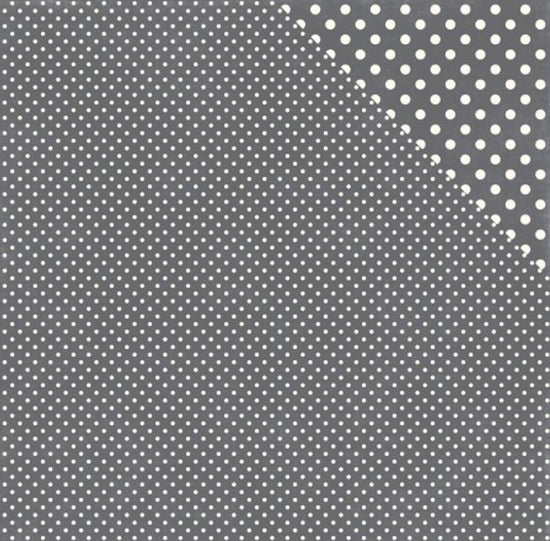 Echo Park Granite dot paper
