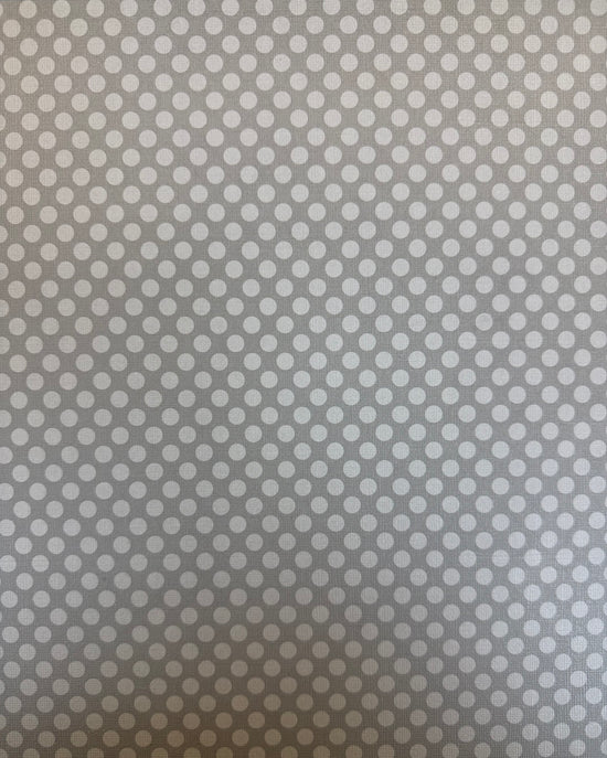Core’dinations Grey Large Dot paper