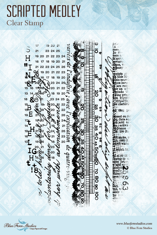 Blue Fern Studios Radiance: Clear Stamps 4x6 - Scripted Medley