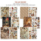Ciao Bella The Last Mystery Junk Journal & Ephemera Book A4 32/Pkg