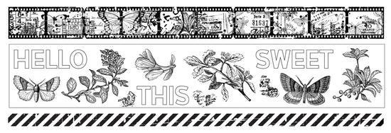 Arden Creative Studio Field Notes PET Tape Set