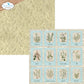 Elizabeth Craft Delightful Discovery paper pack