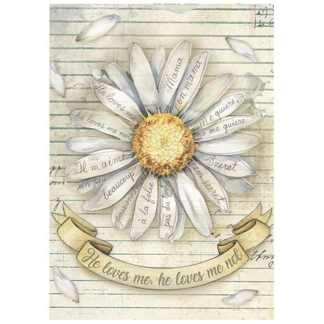 Stamperia Rice Paper A6 8/Pkg Daisy Art