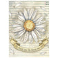 Stamperia Rice Paper A6 8/Pkg Daisy Art