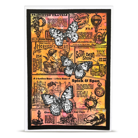 AALL and Create - A6 - Stamp Sets - The Daily News