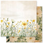 Paper Rose Bees & Butterflies 6x6 Paper Collection