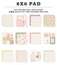 Echo Park Little Lullabies - Baby Girl 6x6 Paper Pad