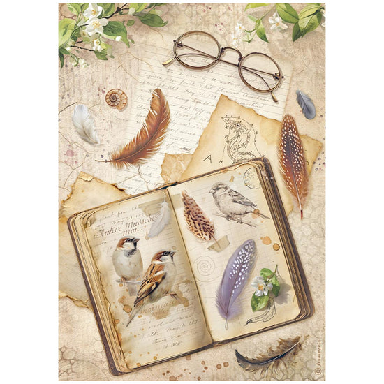 Stamperia Printed A4 Rice paper for Art and Craft - All Around book