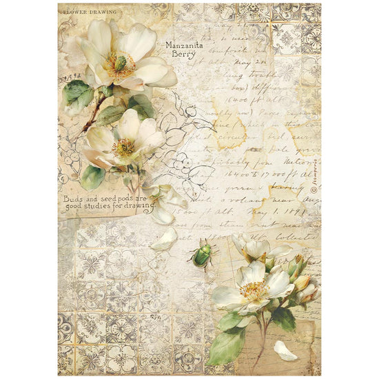 Stamperia Printed A4 Rice paper for Art and Craft - All Around Camellia