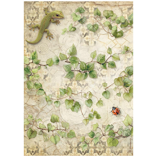 Stamperia Printed A4 Rice paper for Art and Craft - All Around Ivy