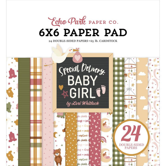 Echo Park Double-Sided Paper Pad 6"X6" 24/Pkg Special Delivery Baby Girl