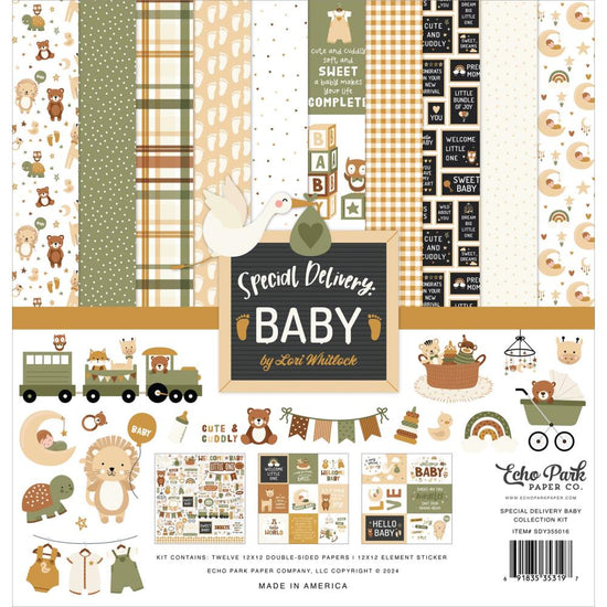 Echo Park Collection Kit 12"X12" Special Delivery Baby