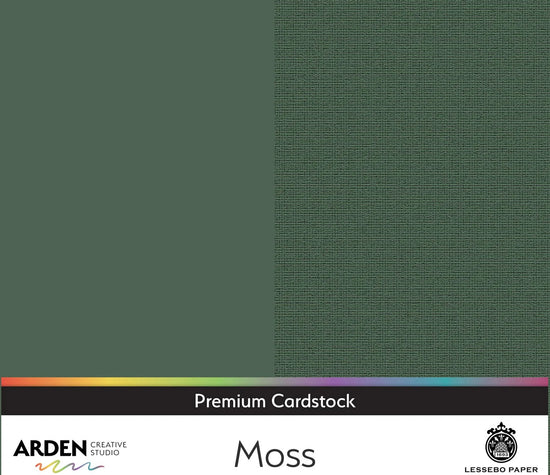 Arden Creative Studio Premium Cardstock 12in x 12in 300gsm Moss
