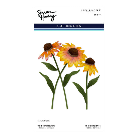 Spellbinders Wild Coneflowers Etched Dies by Simon Hurley