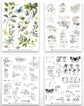 Arden Creative Studio Garden Chronicles Essentials 6in x 8in Rub-On Transfer Set