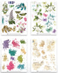 Arden Creative Studio Garden Chronicles 6in x 8in Rub-On Transfer Set
