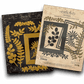 Graphic 45 Rectangle Frames with Ferns & Foliage Die Set