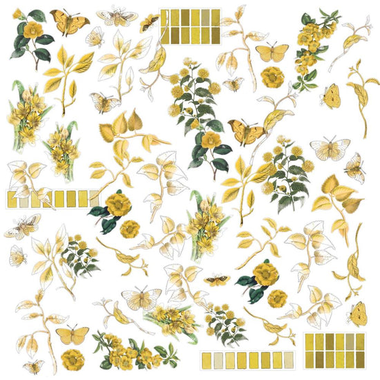 Color Swatch: Ochre Acetate Assortment 64/Pkg