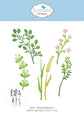 Elizabeth Craft Floral Greenery 4 die