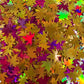 Lawn Fawn fall leaf confetti mix