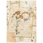 Stamperia Printed Mini Rice Paper A6 8 Sheets For Art And Craft - Flowers And Poems