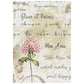 Stamperia Printed Mini Rice Paper A6 8 Sheets For Art And Craft - Flowers And Poems