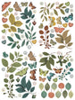 Arden Creative Studio Amber Ledgers Foliage Laser Cuts
