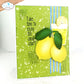 Elizabeth Craft Fresh Fruit
