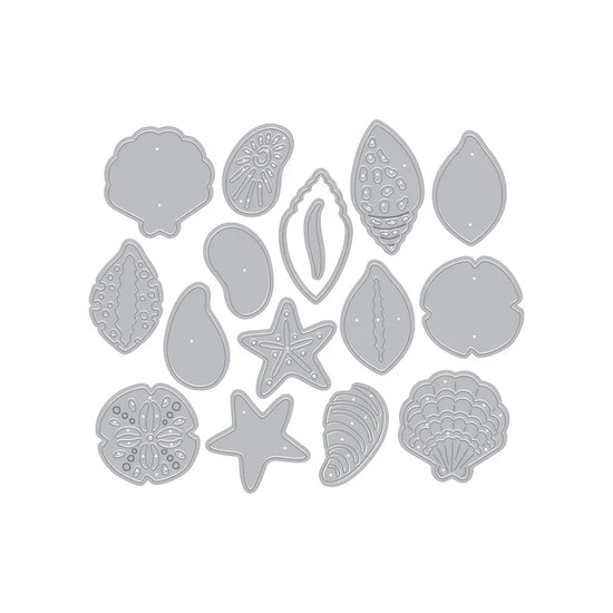 HERO ARTS SOPHISTICATED SHELLS ETCHED DIES FROM THE SUMMER BY THE SHORE COLLECTION