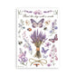 Stamperia A5 Washi Pad 8/Pkg Lavender