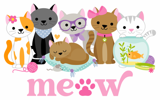 Bella Blvd Meow Bundle (12 productos)