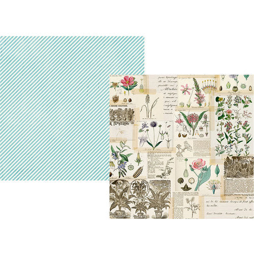 Simple Vintage Botanicals Double-Sided Cardstock 12"X12" Collect Moments